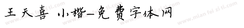 王天喜 小楷字体转换